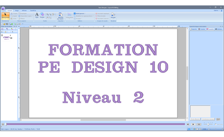 Formation PE DESIGN 10 Niveau 2