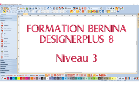 Formation Bernina DesignerPlus 8 - Niveau 3